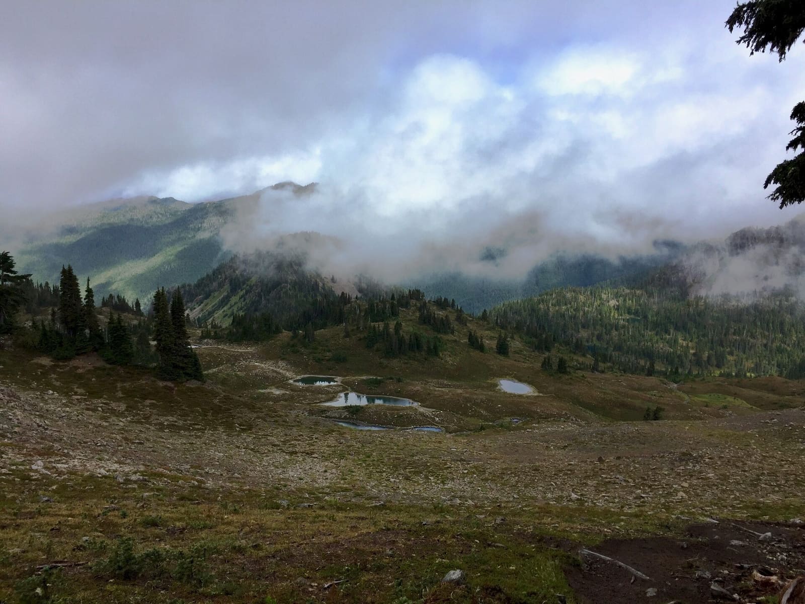 Olympic Peninsula, bank 3, frame 18 of 52