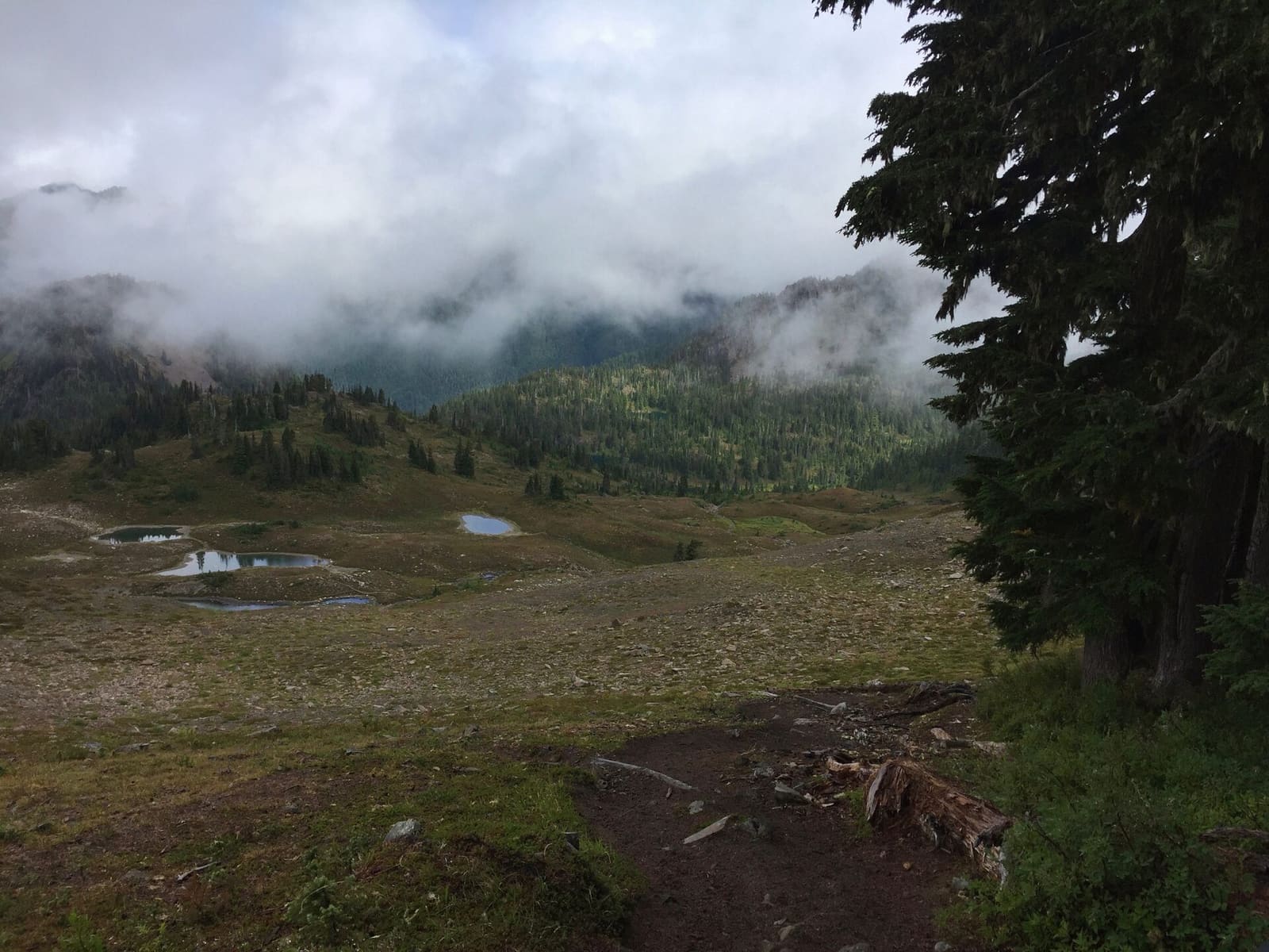 Olympic Peninsula, bank 3, frame 19 of 52