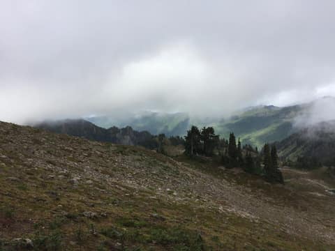 Olympic Peninsula, bank 3, frame 20 of 52