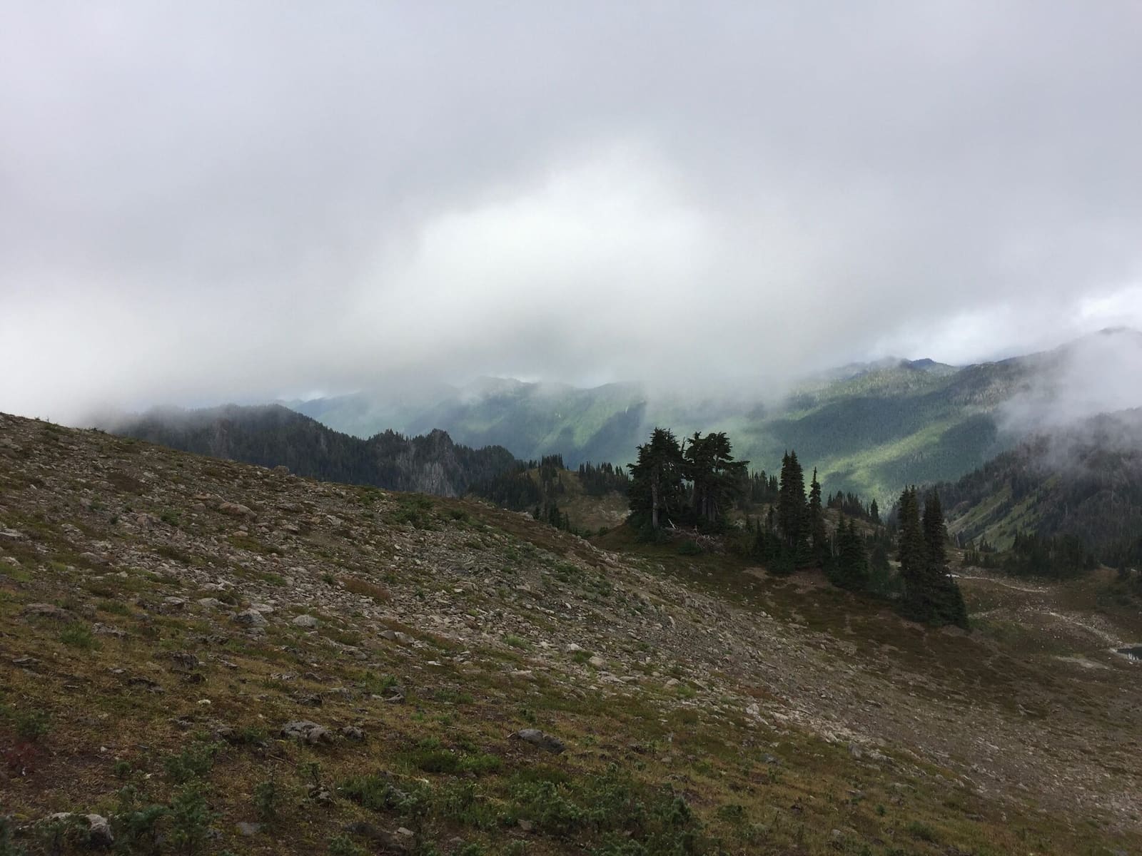 Olympic Peninsula, bank 3, frame 20 of 52
