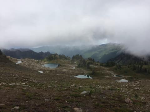 Olympic Peninsula, bank 3, frame 21 of 52