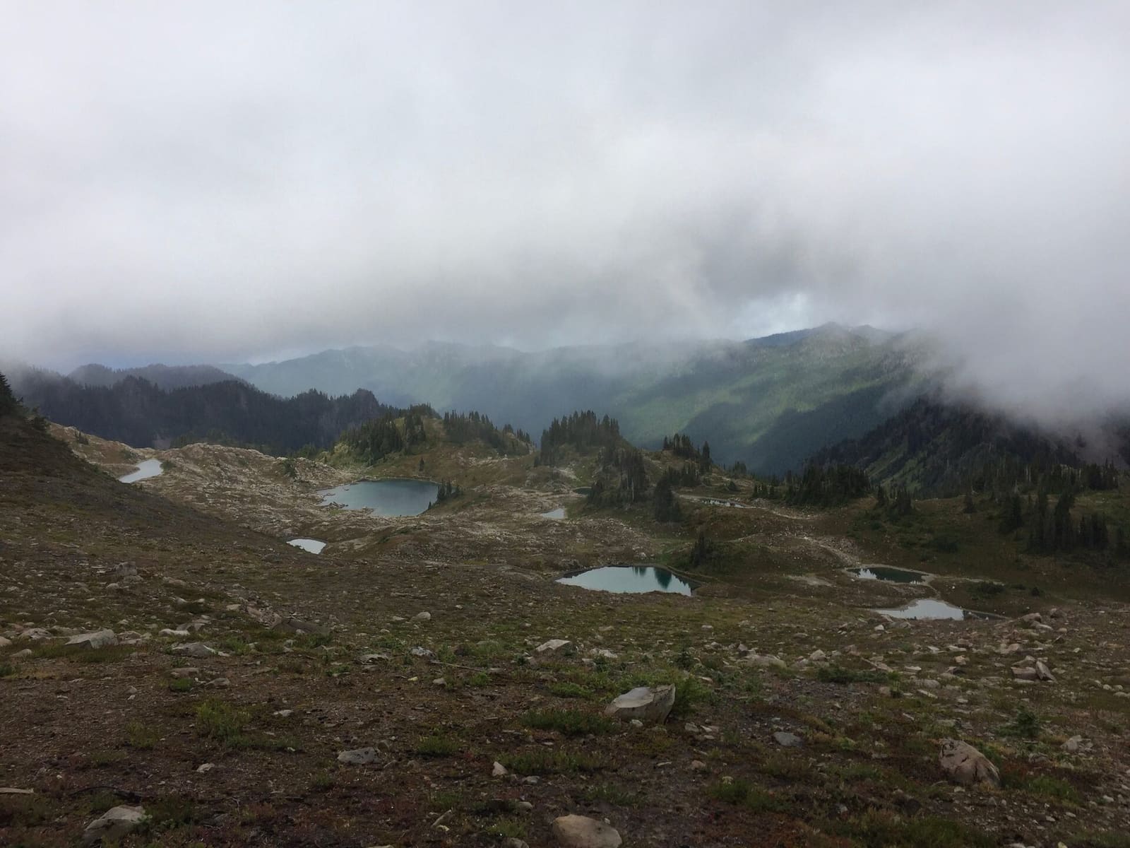 Olympic Peninsula, bank 3, frame 21 of 52
