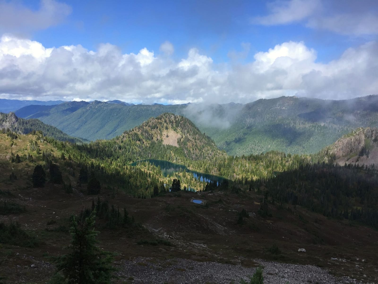 Olympic Peninsula, bank 3, frame 22 of 52