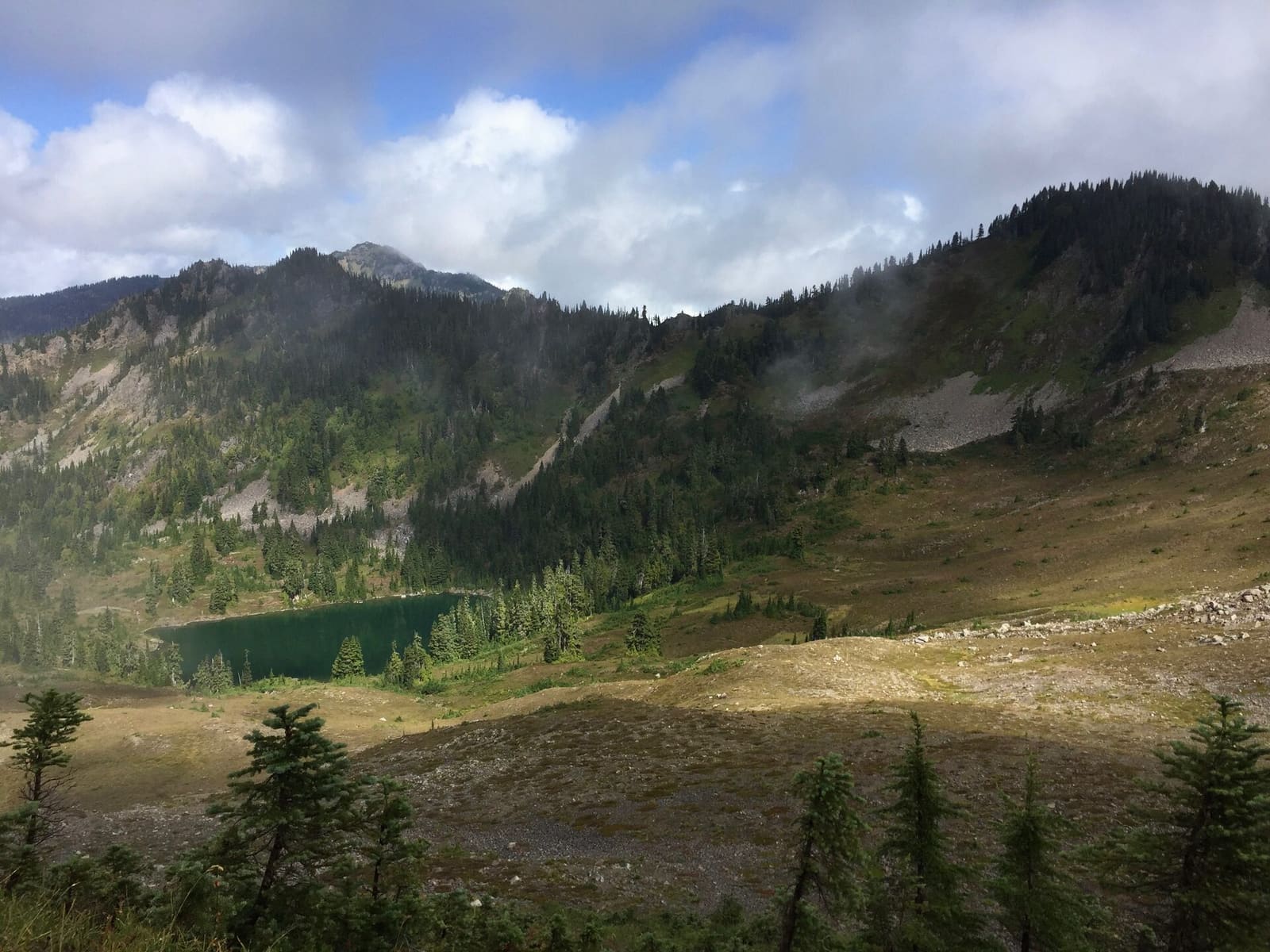 Olympic Peninsula, bank 3, frame 23 of 52