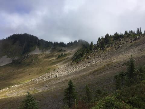 Olympic Peninsula, bank 3, frame 24 of 52