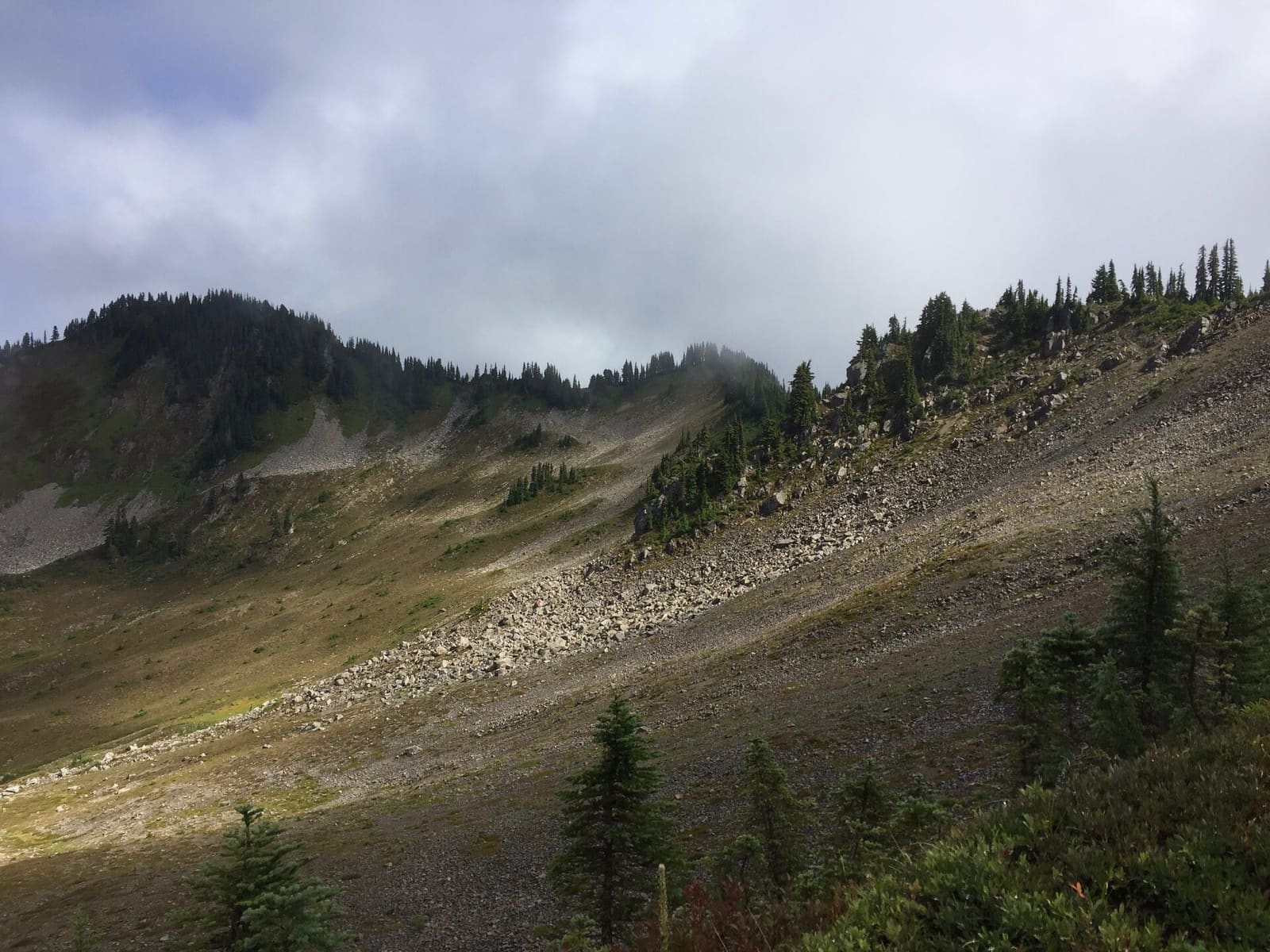 Olympic Peninsula, bank 3, frame 24 of 52