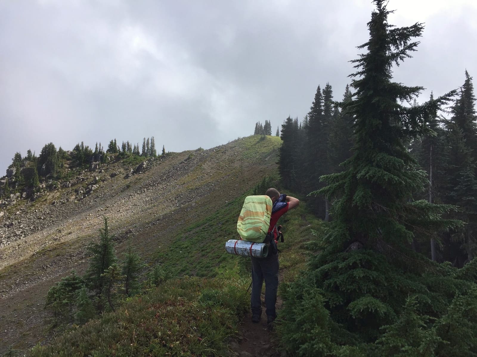 Olympic Peninsula, bank 3, frame 25 of 52