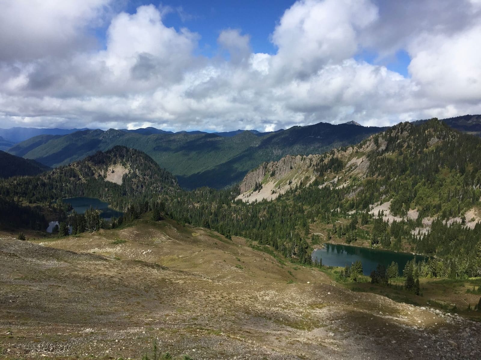 Olympic Peninsula, bank 3, frame 26 of 52