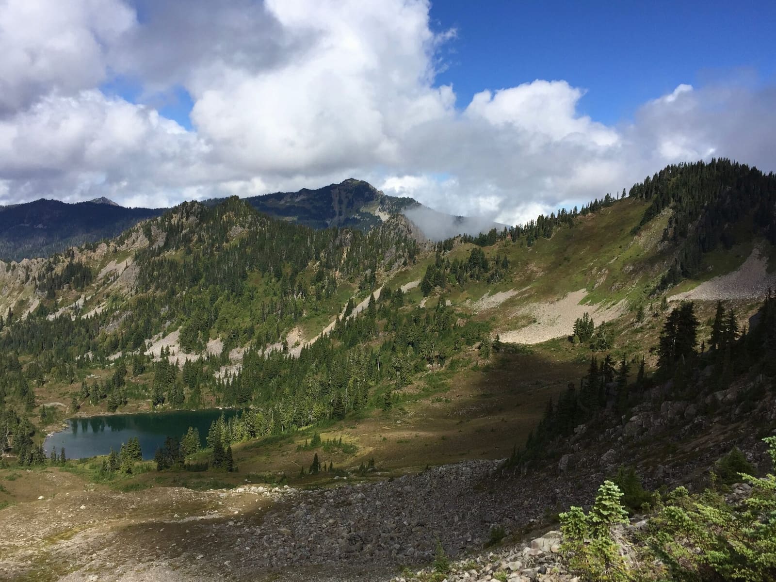 Olympic Peninsula, bank 3, frame 27 of 52