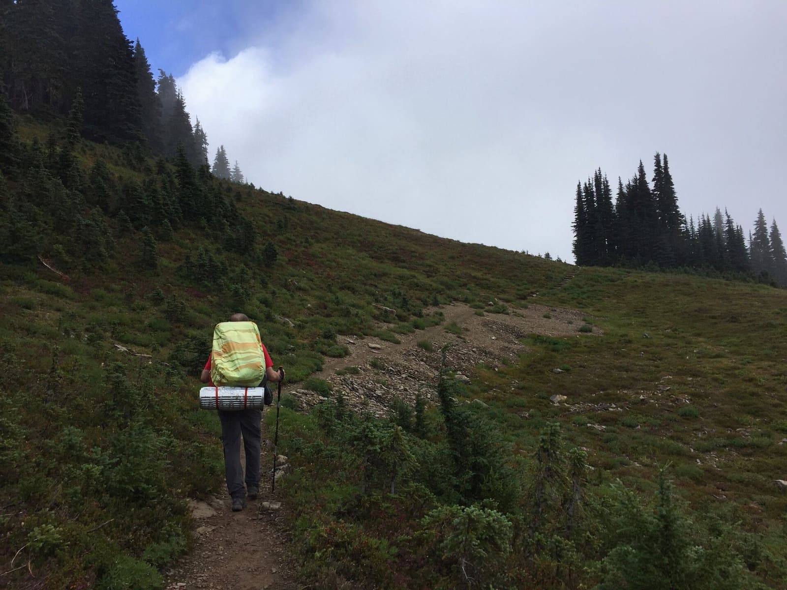 Olympic Peninsula, bank 3, frame 29 of 52