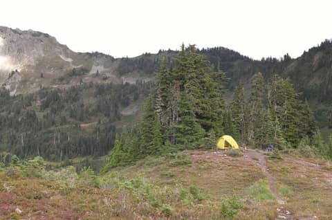 Olympic Peninsula, bank 3, frame 35 of 52