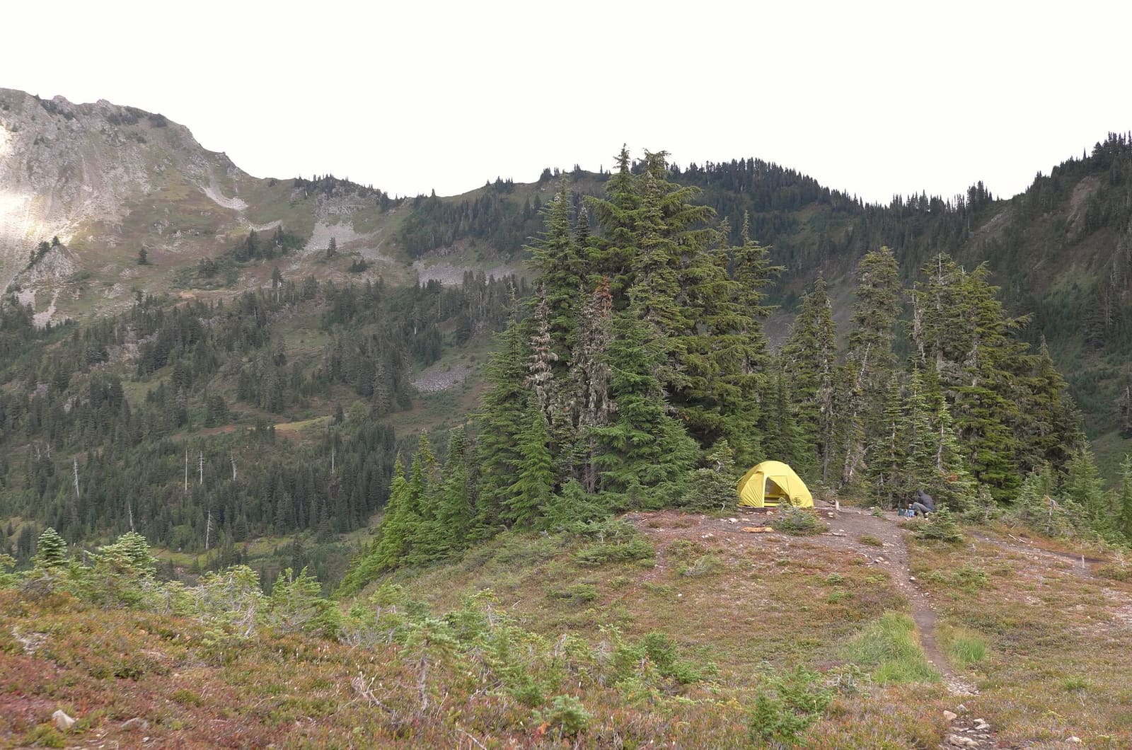 Olympic Peninsula, bank 3, frame 35 of 52