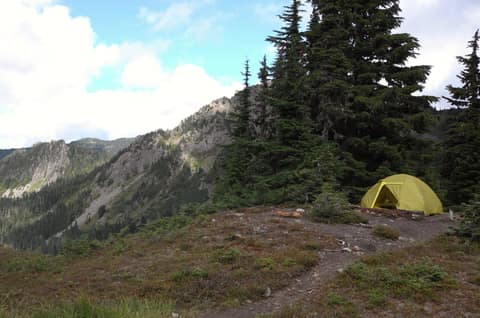 Olympic Peninsula, bank 3, frame 36 of 52