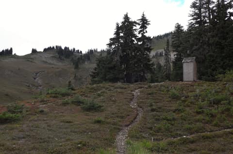 Olympic Peninsula, bank 3, frame 37 of 52