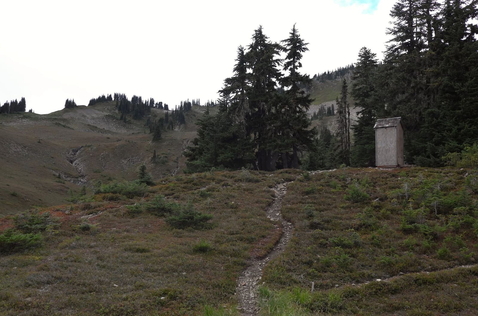 Olympic Peninsula, bank 3, frame 37 of 52