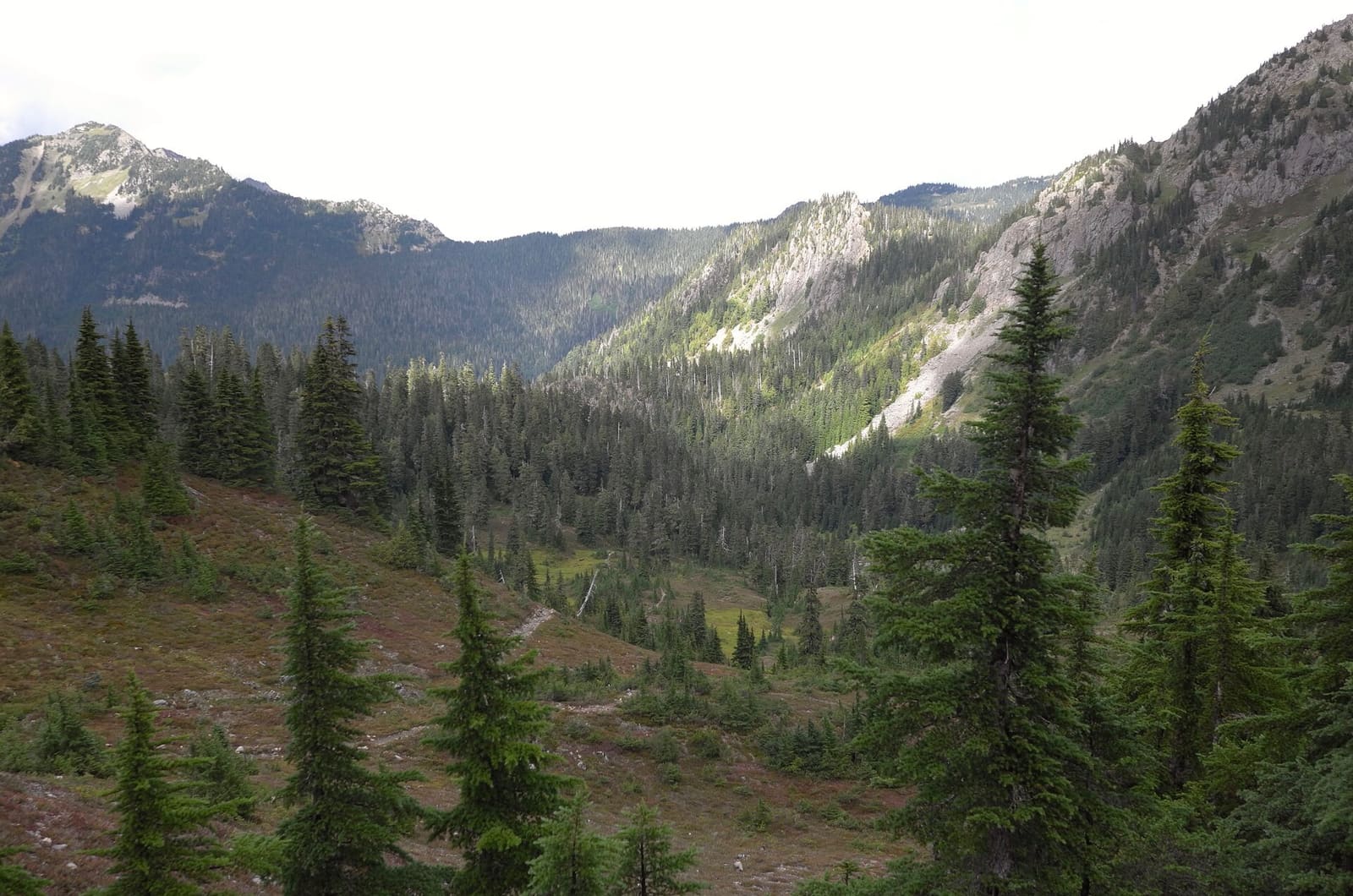 Olympic Peninsula, bank 3, frame 38 of 52
