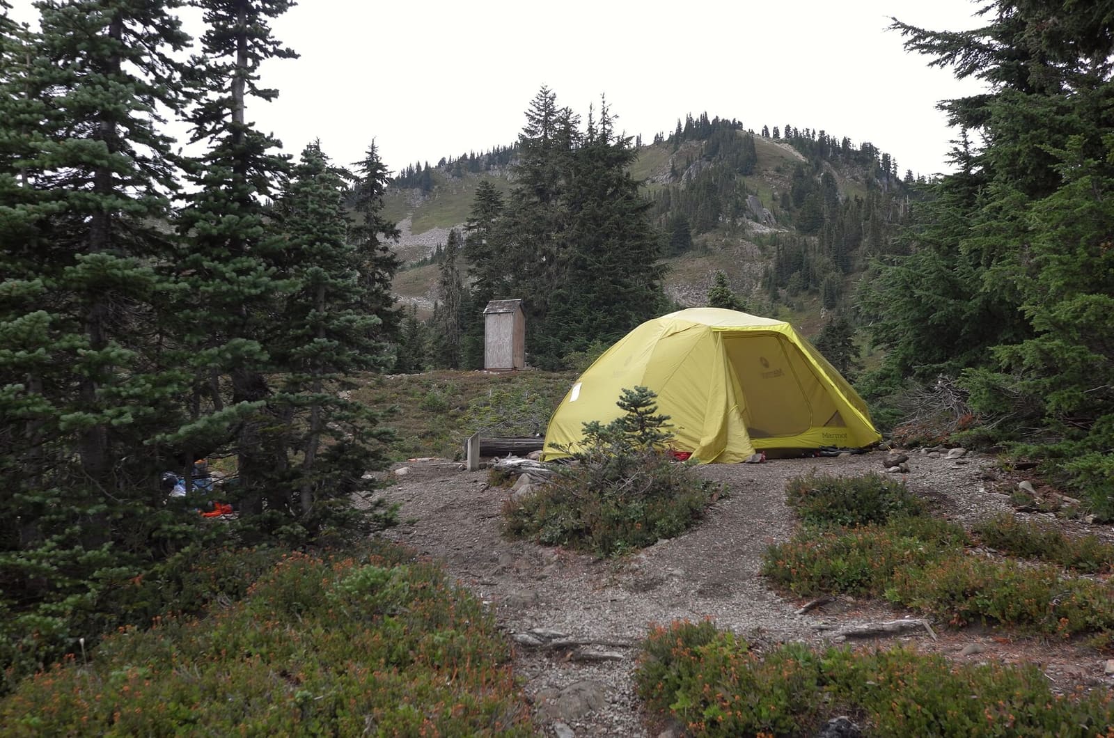 Olympic Peninsula, bank 3, frame 39 of 52