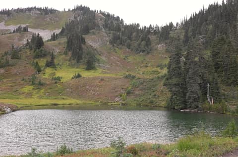 Olympic Peninsula, bank 3, frame 40 of 52