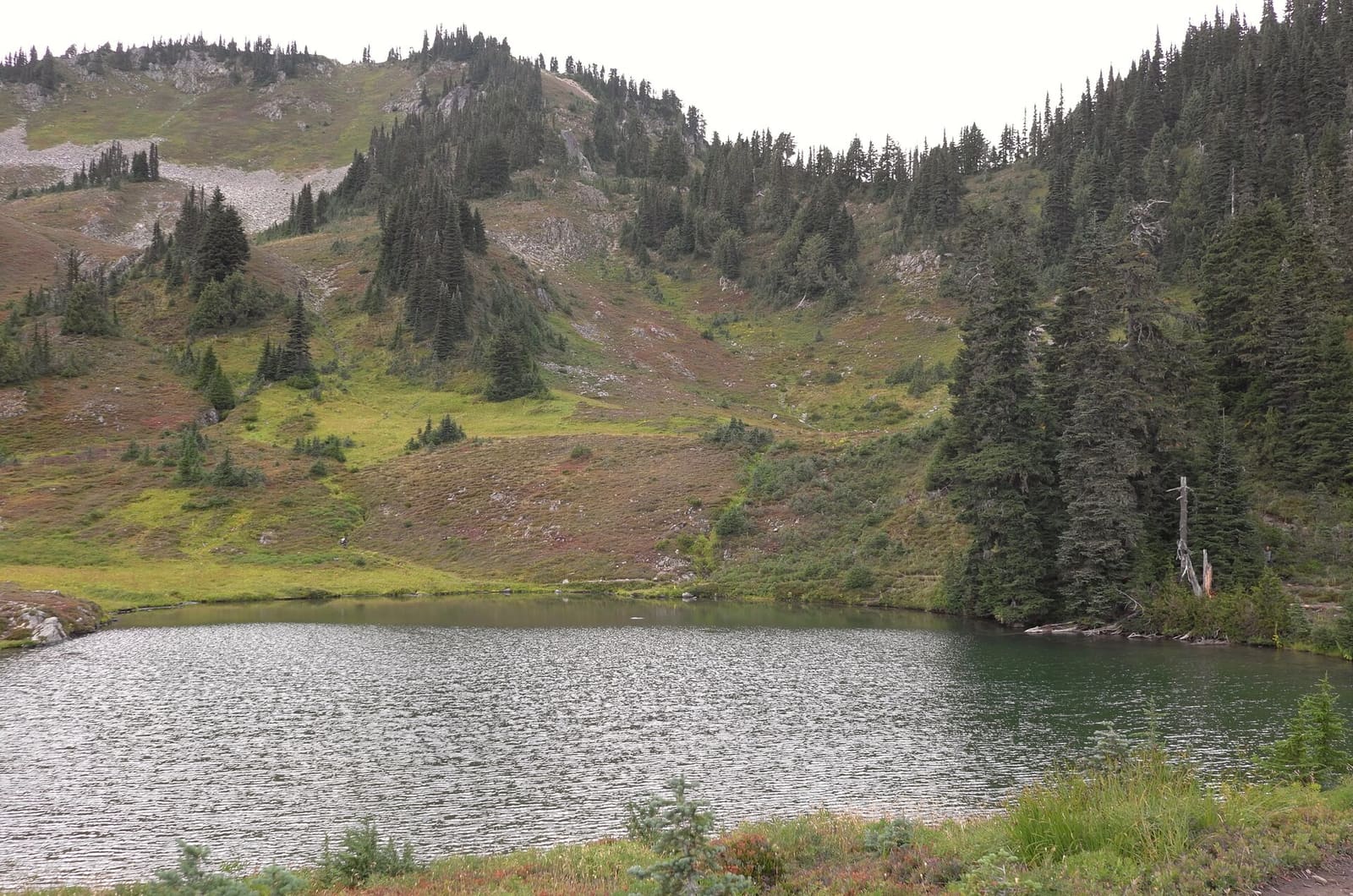 Olympic Peninsula, bank 3, frame 40 of 52