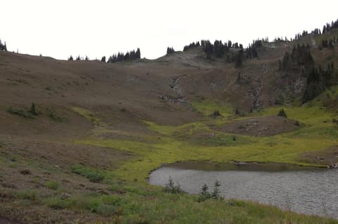 Olympic Peninsula, bank 3, frame 41 of 52