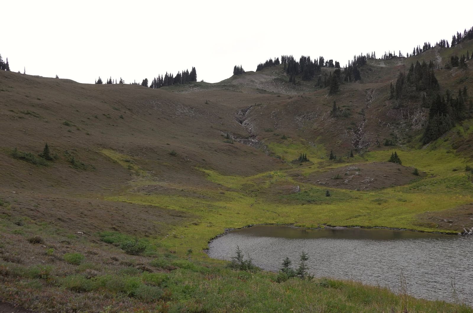 Olympic Peninsula, bank 3, frame 41 of 52