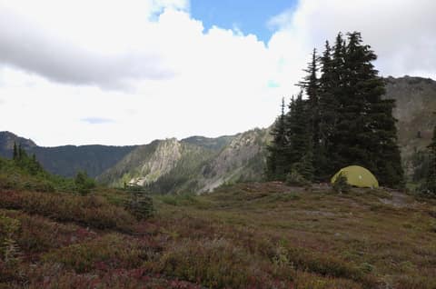 Olympic Peninsula, bank 3, frame 42 of 52