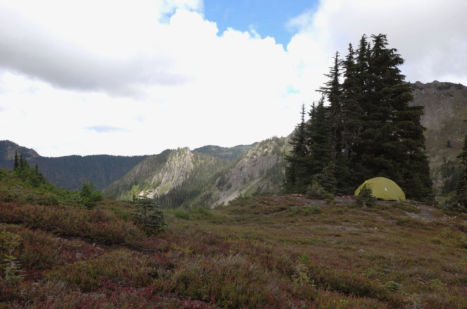 Olympic Peninsula, bank 3, frame 42 of 52