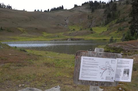 Olympic Peninsula, bank 3, frame 43 of 52