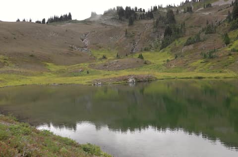 Olympic Peninsula, bank 3, frame 44 of 52