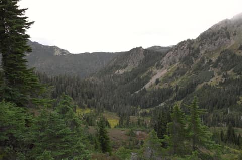 Olympic Peninsula, bank 3, frame 48 of 52
