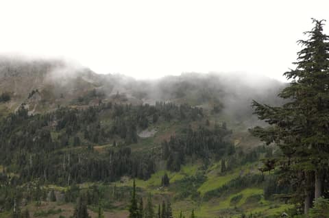 Olympic Peninsula, bank 3, frame 49 of 52