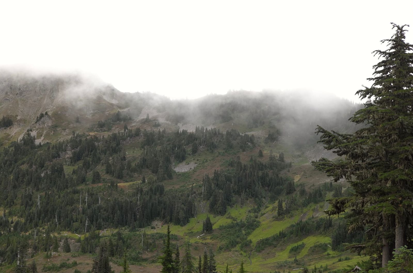 Olympic Peninsula, bank 3, frame 49 of 52