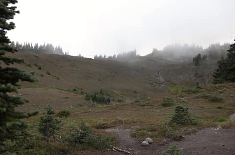 Olympic Peninsula, bank 3, frame 50 of 52