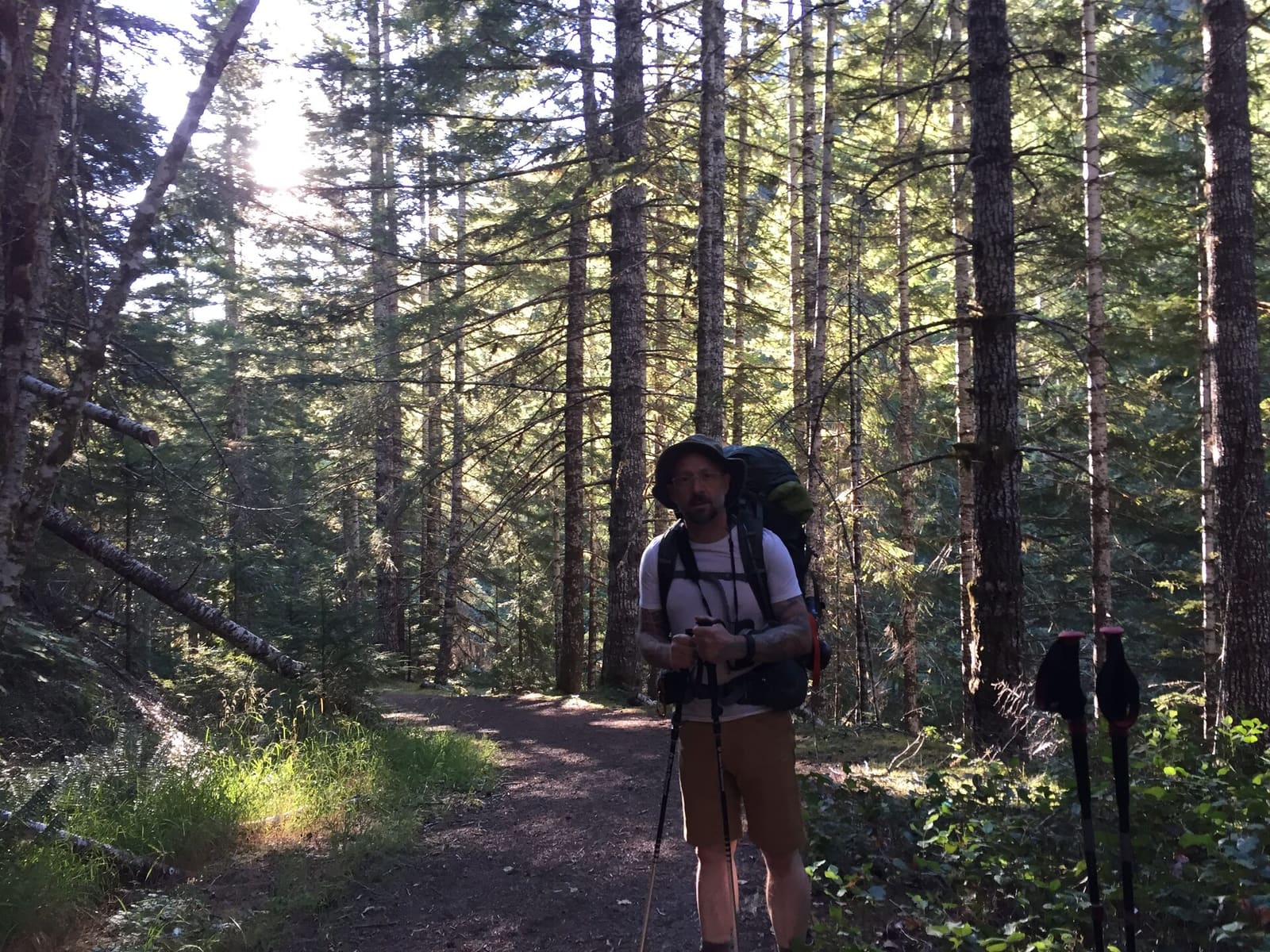 Olympic Peninsula, bank 5, frame 1 of 14