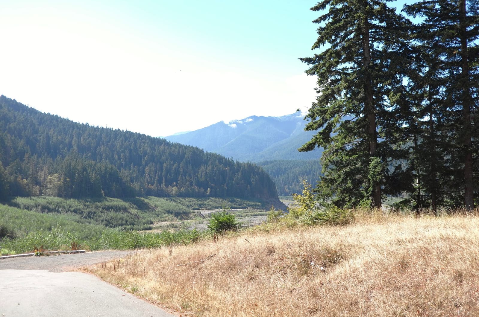 Olympic Peninsula, bank 5, frame 6 of 14