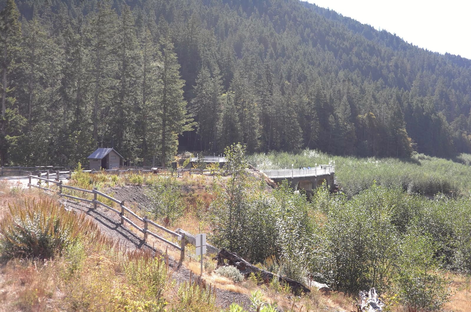 Olympic Peninsula, bank 5, frame 7 of 14