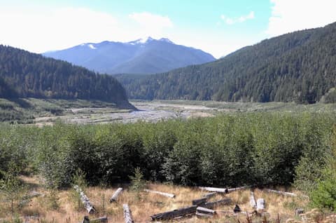 Olympic Peninsula, bank 5, frame 8 of 14