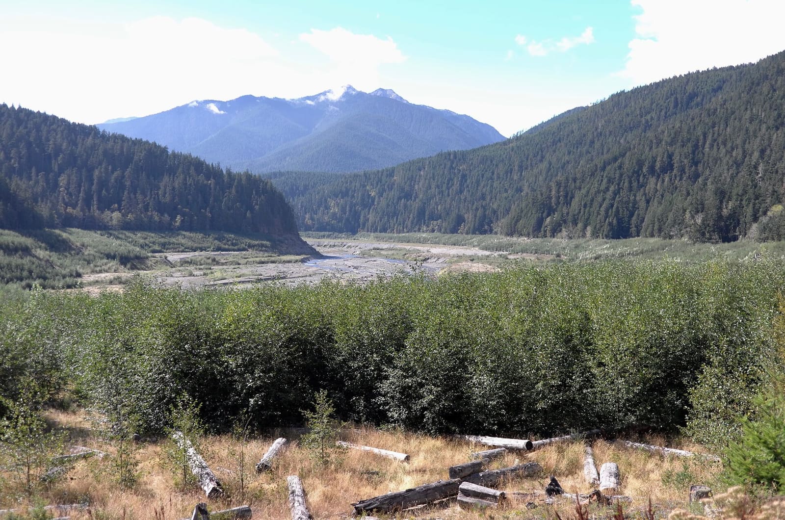 Olympic Peninsula, bank 5, frame 8 of 14