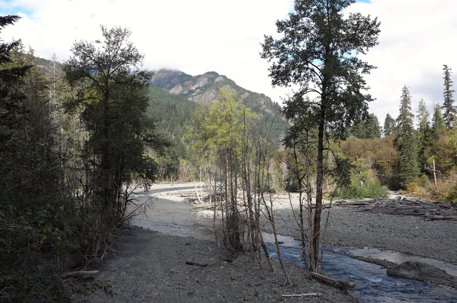 Olympic Peninsula, bank 5, frame 12 of 14