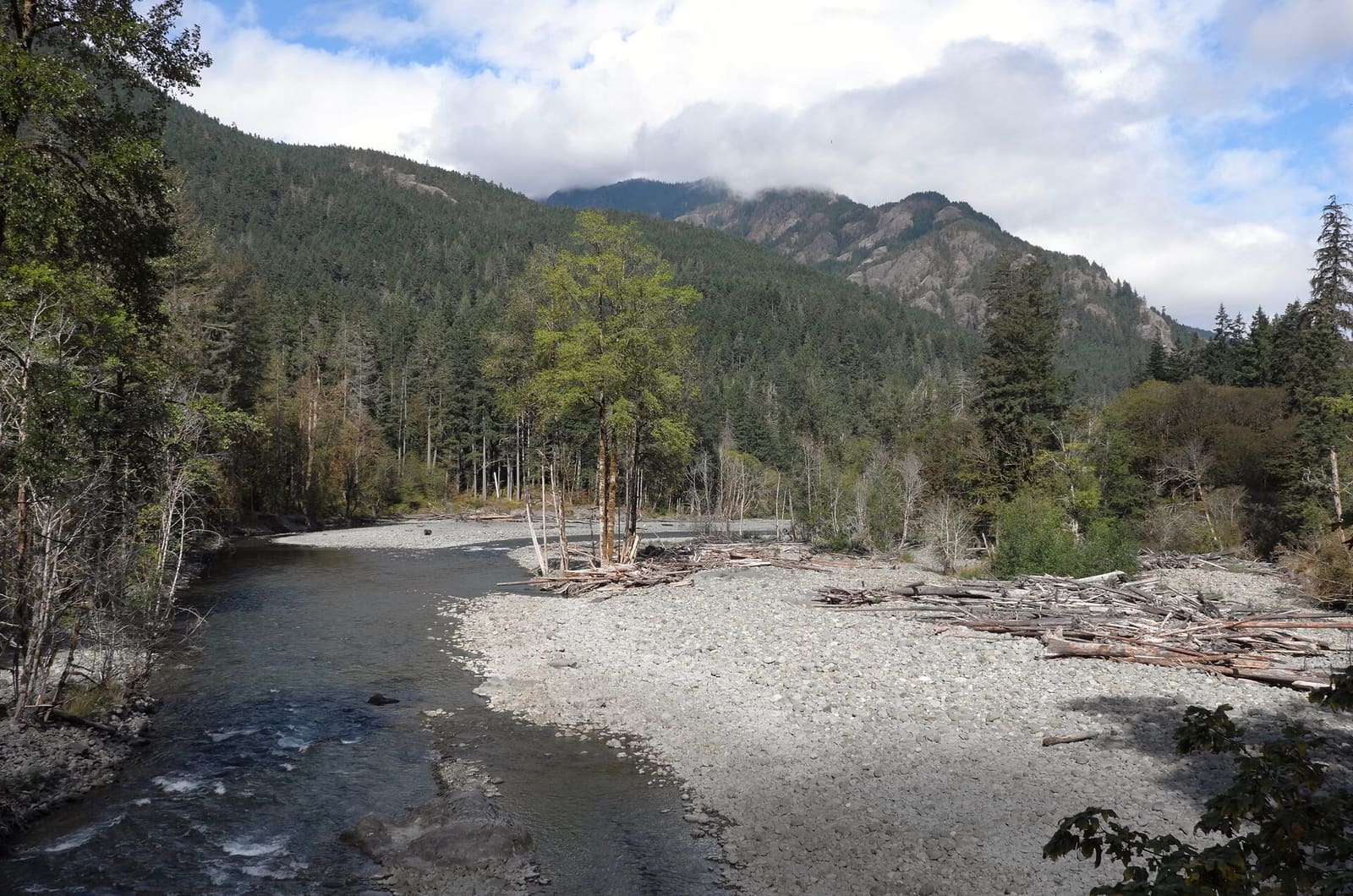 Olympic Peninsula, bank 5, frame 13 of 14