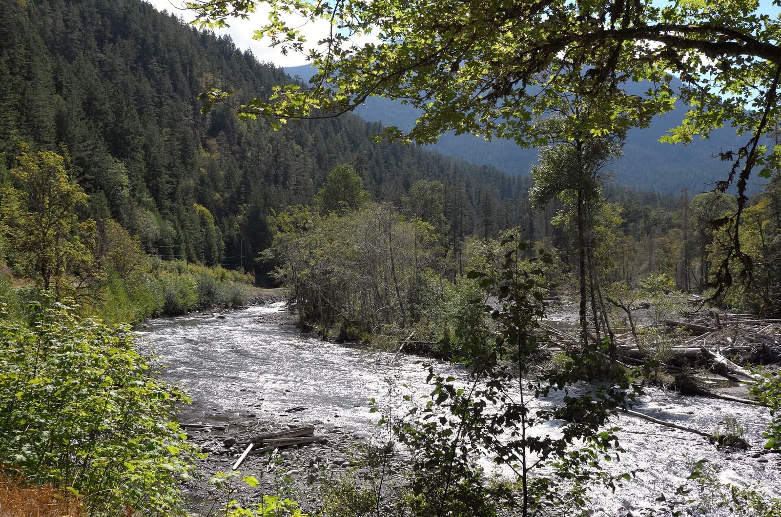 Olympic Peninsula, bank 5, frame 14 of 14