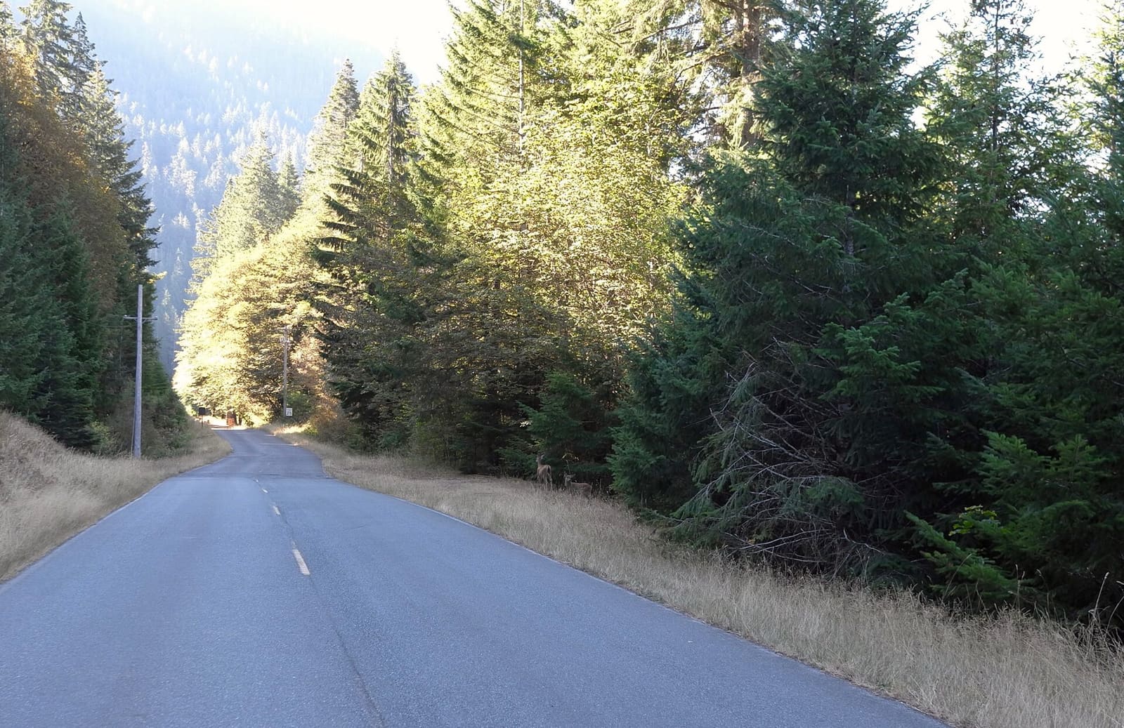 Olympic Peninsula, bank 6, frame 4 of 42