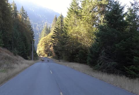 Olympic Peninsula, bank 6, frame 5 of 42