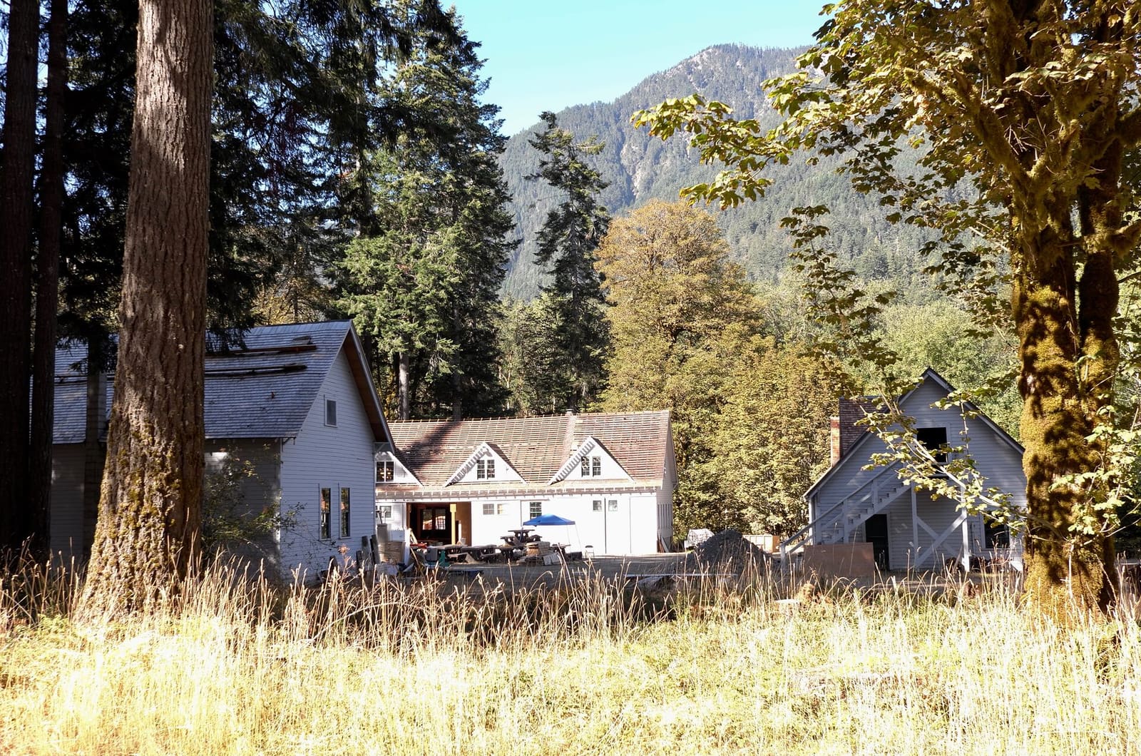 Olympic Peninsula, bank 6, frame 7 of 42