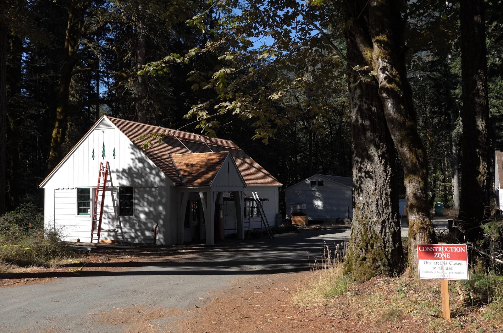 Olympic Peninsula, bank 6, frame 8 of 42