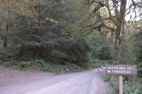 Olympic Peninsula, bank 6, frame 10 of 42