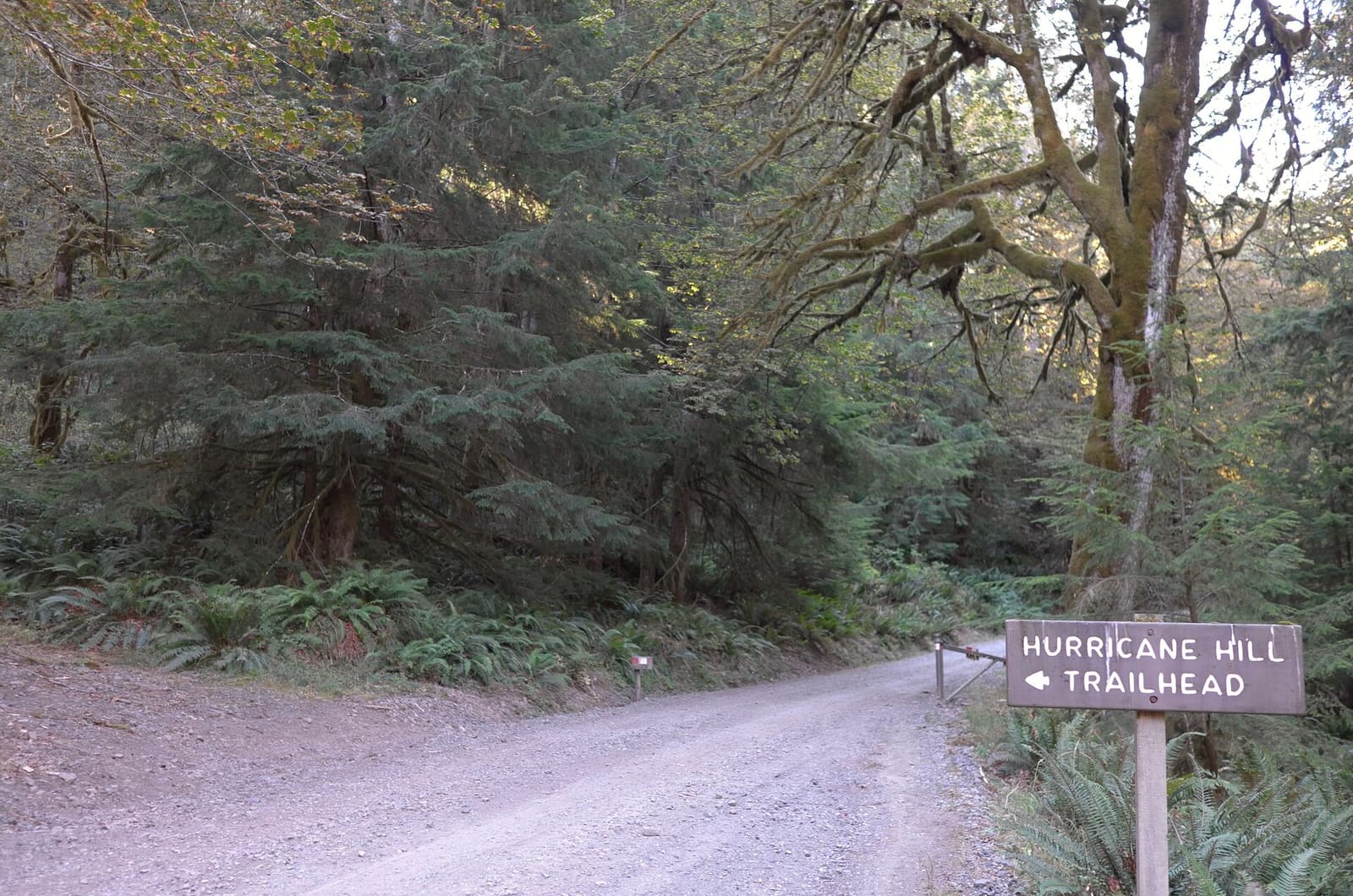 Olympic Peninsula, bank 6, frame 10 of 42