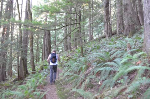 Olympic Peninsula, bank 6, frame 11 of 42