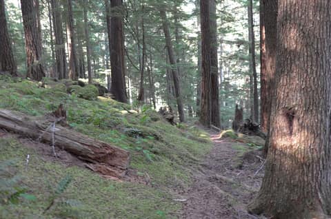 Olympic Peninsula, bank 6, frame 12 of 42