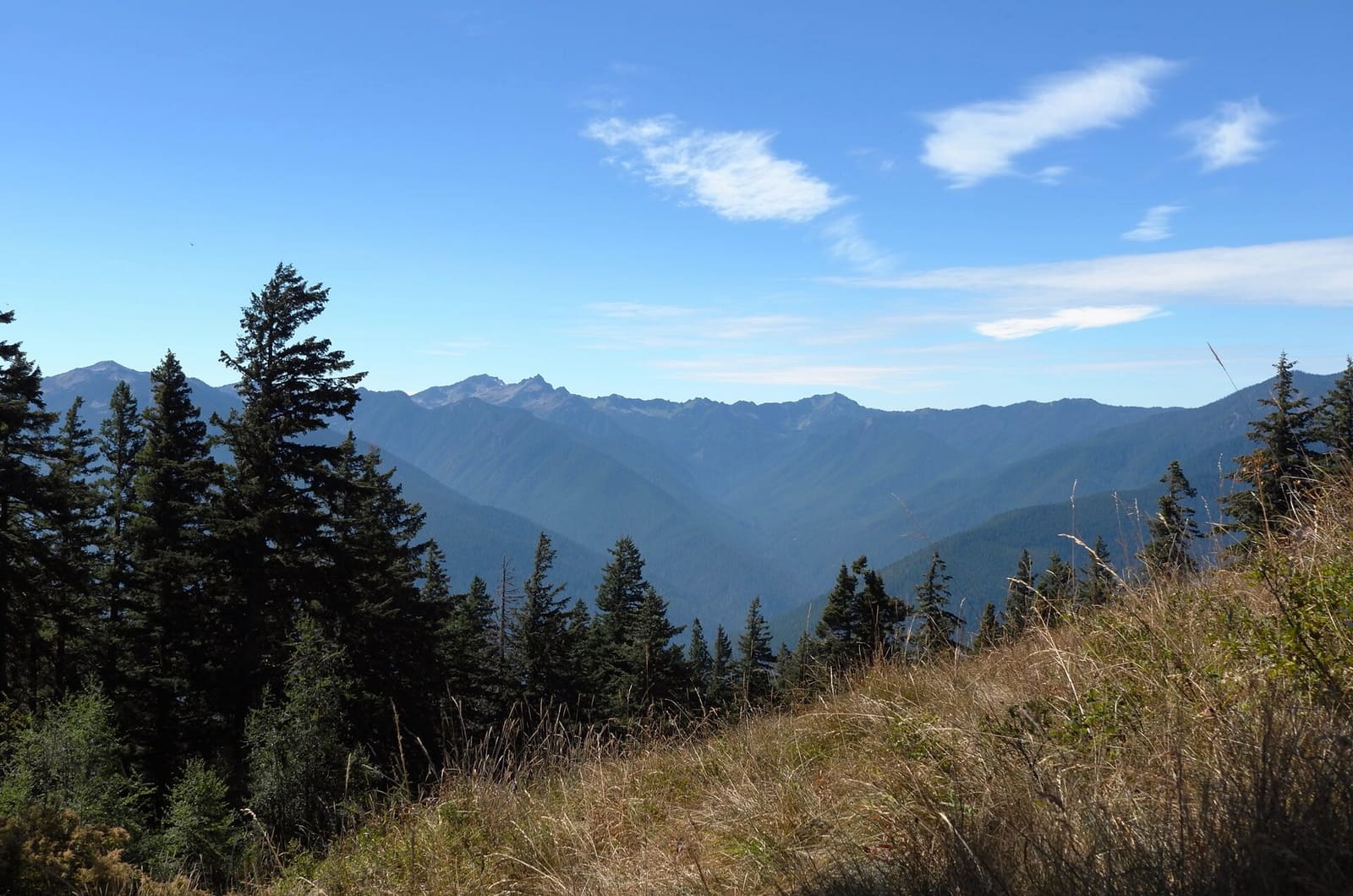 Olympic Peninsula, bank 6, frame 16 of 42